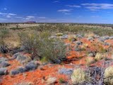 Uluru in the desert